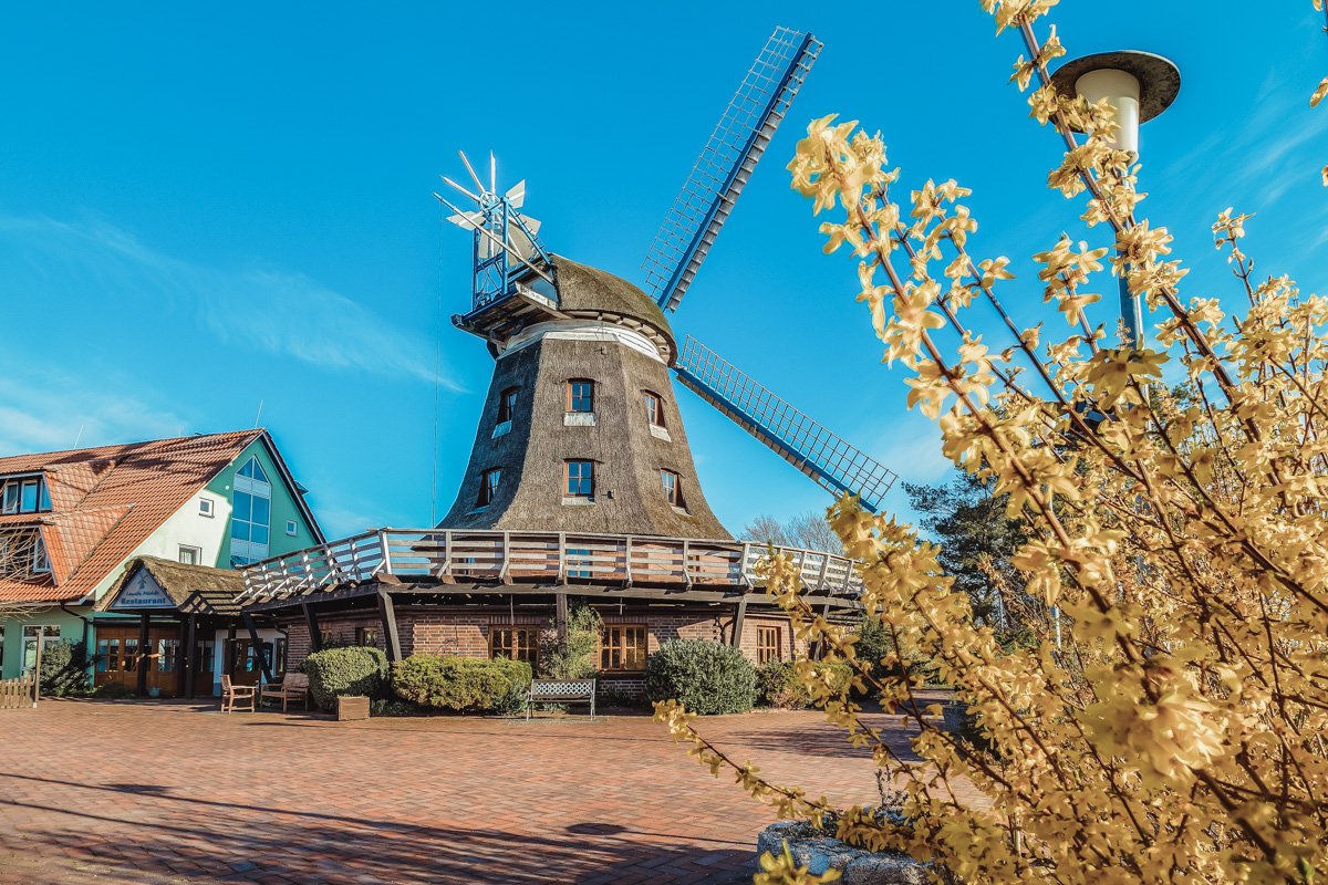 Landhotel Lewitz Mühle historische Windmühle